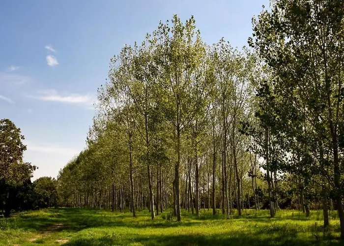Masseria Giosole