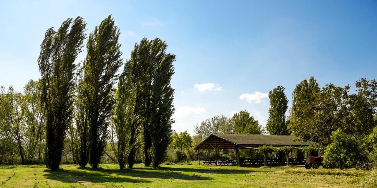 Masseria Giosole Landhuis *